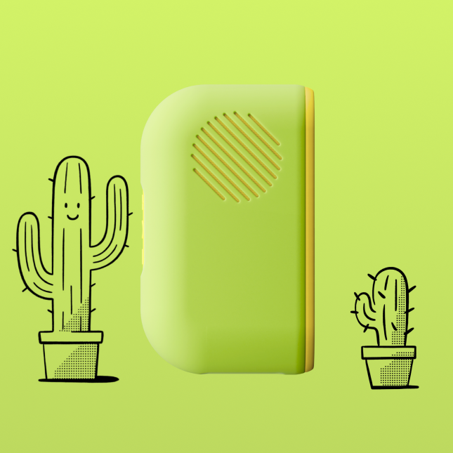 Green Sleeve
